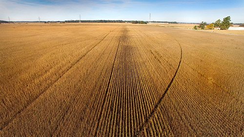 Property photo 5 - LAND AUCTION - 307.75+/- ACRES OFFERED IN 5 TRACTS IN PULASKI COUNTY, INDIANA